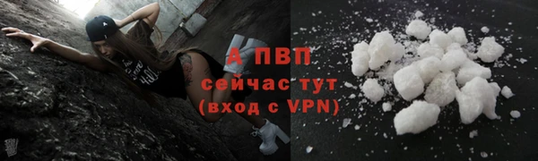 Альфа ПВП Арсеньев