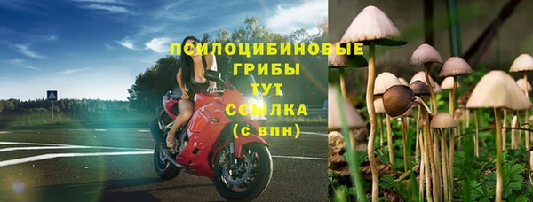 эйфоретик Армянск
