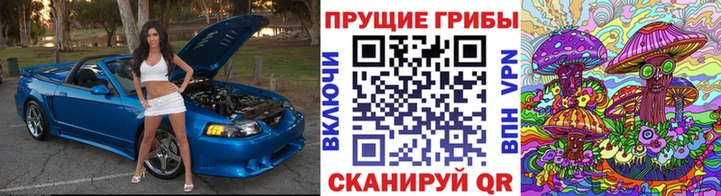 Псилоцибиновые грибы MAGIC MUSHROOMS  хочу   Чусовой 